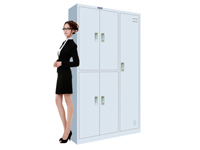 HDL-12 5-door locker